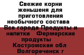 Свежие корни женьшеня для приготовления необычного состава - Все города Продукты и напитки » Фермерские продукты   . Костромская обл.,Волгореченск г.